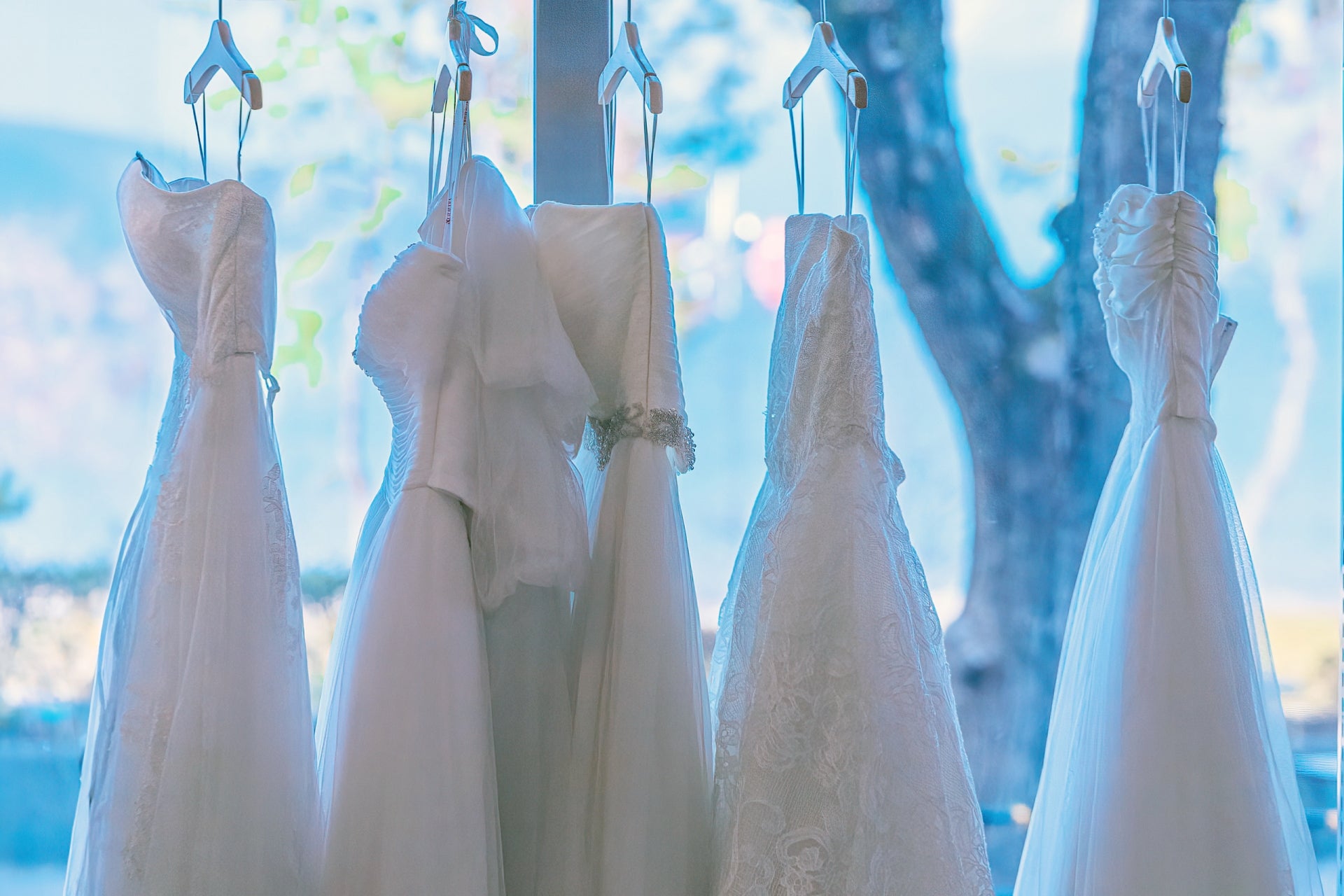 クラシカルで上品なウエディングドレスの選び方:2024年最新版