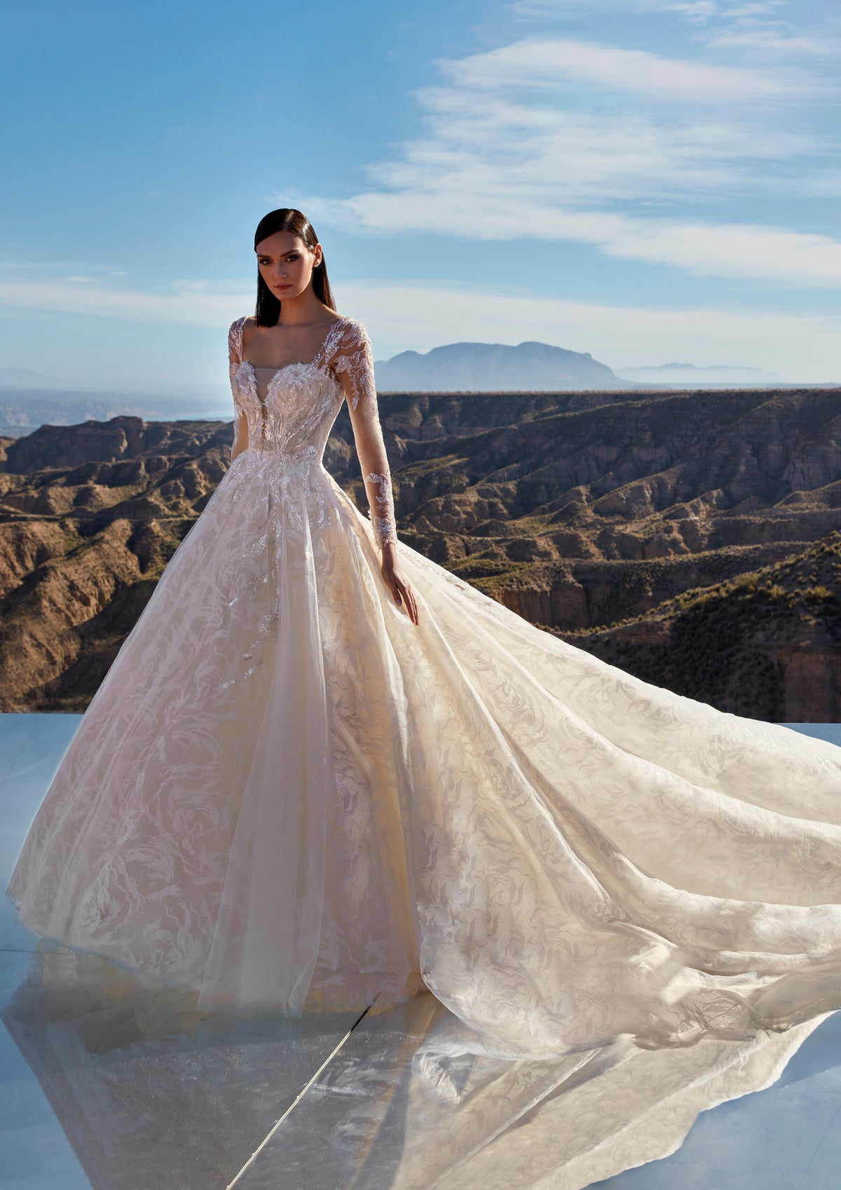PRONOVIAS DRACME 総レース インポート高級ウェディングドレス-ゾロ 