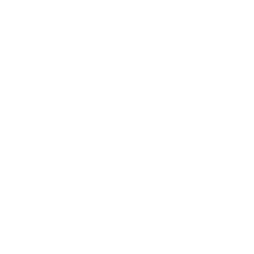 DESTINY Line